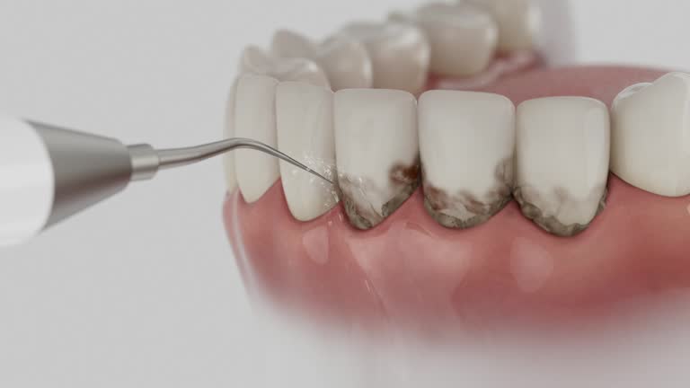 Reliable Dental contractor in Lima, OH by Dentist Open Now